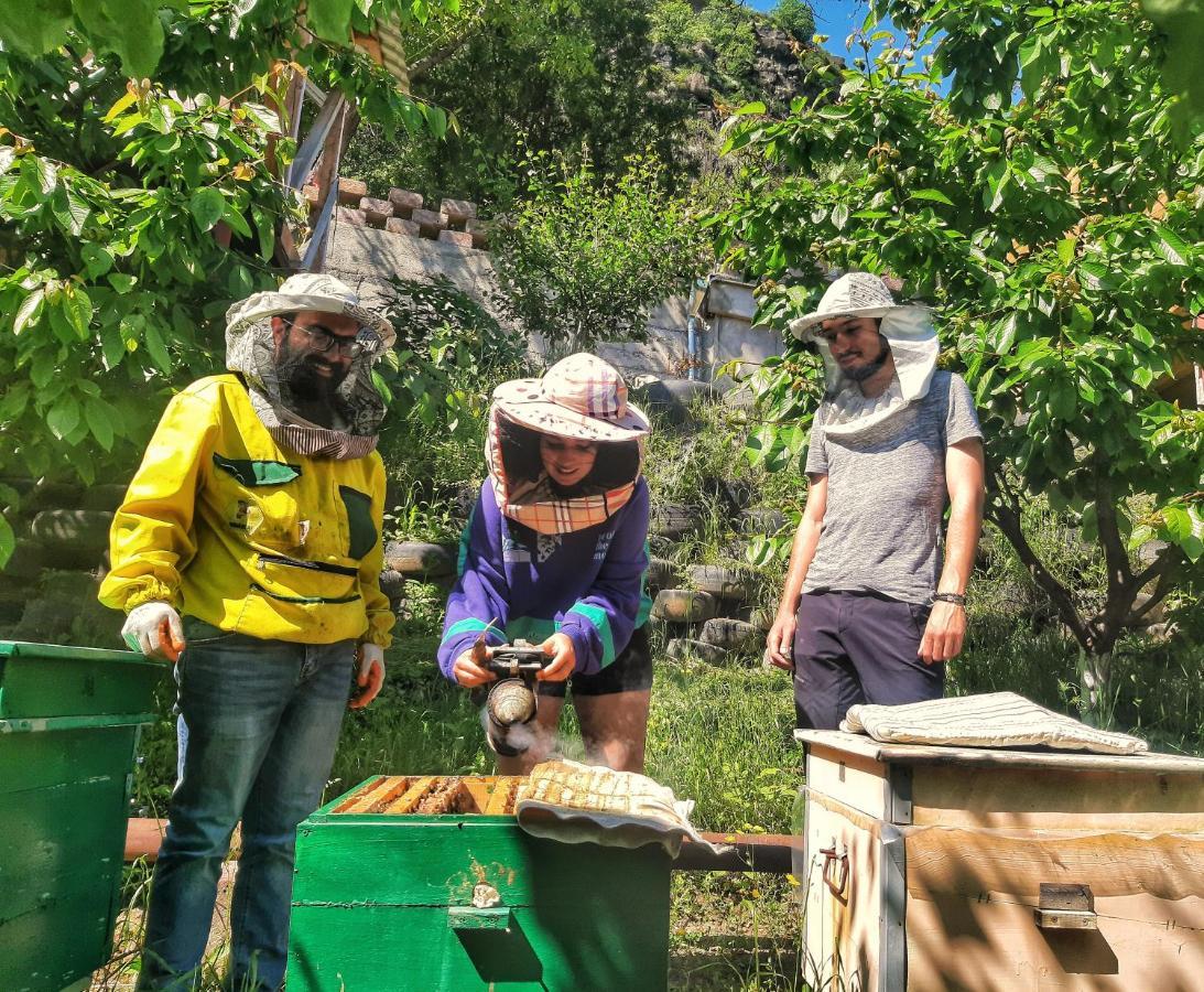Villa Armbee Honey Farm à Alaverdi Extérieur photo