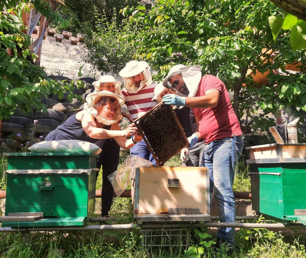 Villa Armbee Honey Farm à Alaverdi Extérieur photo